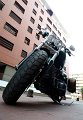 Luc_Harley 2.2